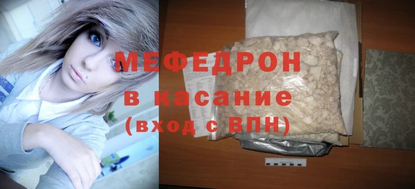 индика Абаза