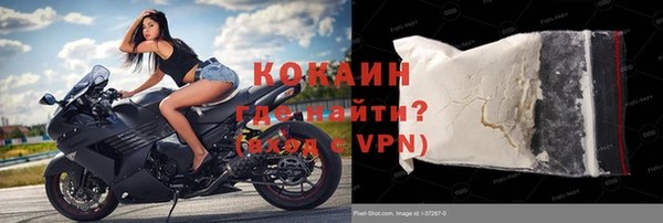 индика Абаза