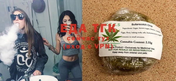 индика Абаза