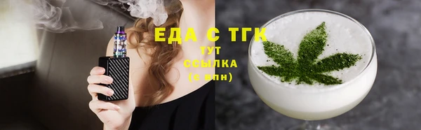 индика Абаза