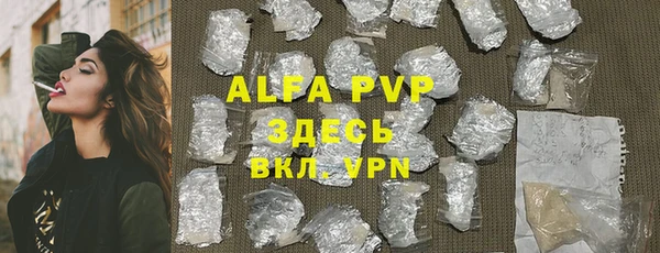 индика Абаза