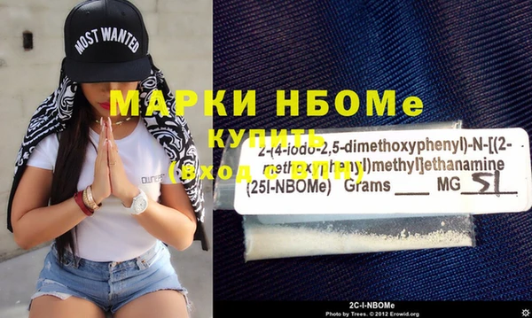 индика Абаза