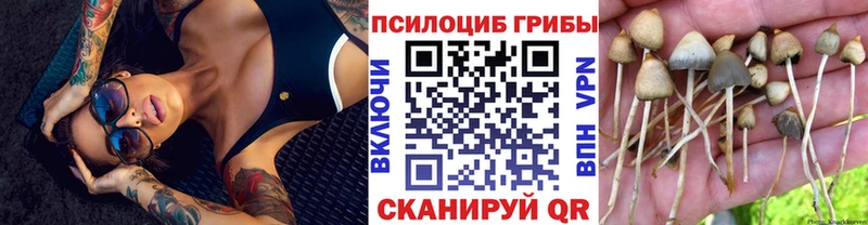 Галлюциногенные грибы мицелий  Сокол 