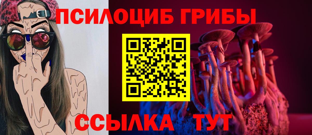 Псилоцибиновые грибы Cubensis  Псилоцибиновые грибы Cubensis  Сокол  Вход с VPN 